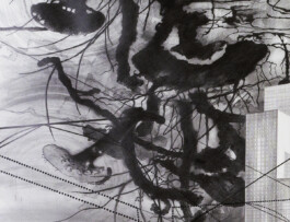 Tomorrows Giants Today 