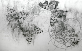 World Debt in All its Glory 