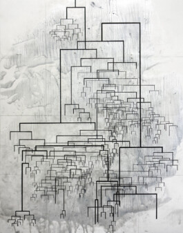 The Willow of Course (VIII) 