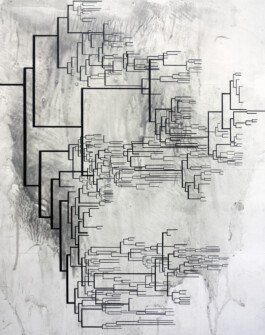 The Willow of Course (IX) 