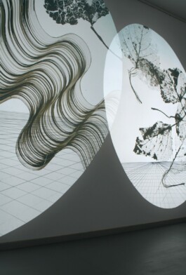 A Factory of Early Herbals 