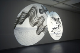 A Factory of Early Herbals 