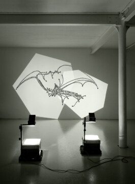 The Node and the Line 