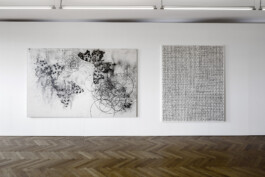 World Debt in All its Glory, Rose Engine 2 