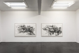 Field Sings Vision a Song 