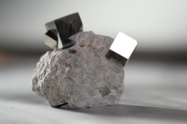 Daughters of Time (still) 