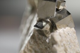 Daughters of Time (still) 