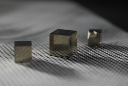 Daughters of Time (still) 