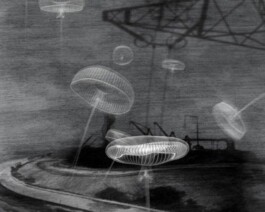 Shells on Mountain Tops (still) 