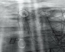 Shells on Mountain Tops (still) 