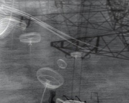 Shells on Mountain Tops (still) 