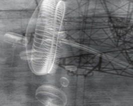 Shells on Mountain Tops (still) 