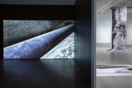 These Rooms of Earth and Stones 