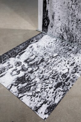 An Essay on Taste (detail) 