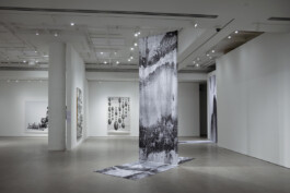 These Rooms of Earth and Stones 