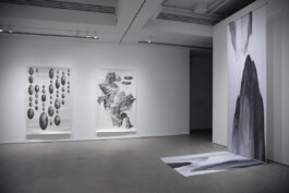 These Rooms of Earth and Stones 