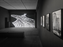 Airbourne Language (still) 