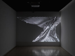 Peacock Shadow never Black 