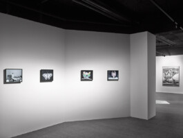 Electric Spinning Gaze 