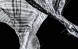 Airbourne Language (still) 