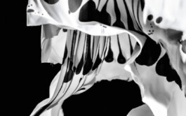 Airbourne Language (still) 