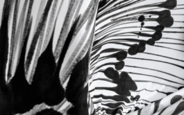 Airbourne Language (still) 